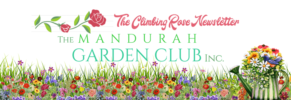 The masthead image of the Mandurah Garden Club newsletter The Climbing Rose